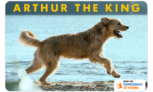 Select Arthur the King Profile Virtual Card